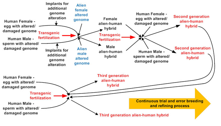 Diagram of Alien process for creating